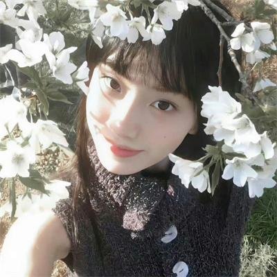 尸战朝鲜:雅信传